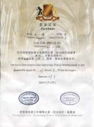 王一淳、張心雅同學(xué)在舒曼國際青少年鋼琴大賽(亞太地區(qū)選拔賽)四川分賽區(qū)初賽中分獲業(yè)余組二等獎、三等獎 