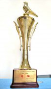 我校榮獲2011年第二屆成都市高新區(qū)中學生籃球后備人才選拔賽初中男子組冠軍