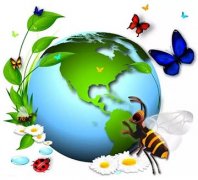 【PYP動(dòng)態(tài)】探究生物，共享地球——PYP一年級(jí)組探究活動(dòng)