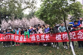  種下一棵樹(shù)，留下一片情 