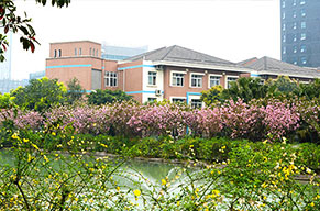  【項目特色】美視中學(xué)部 