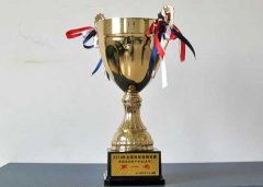 美視學子榮獲2010年全國啦啦操錦標賽中學組花球無級別第一名