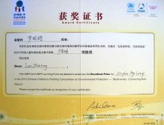 美視學子榮獲2010中國兒童環(huán)保繪畫大賽少年組優(yōu)勝獎