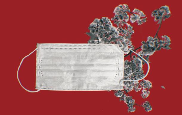美視故事丨這首美視校友原創(chuàng)歌曲，獻給全世界！